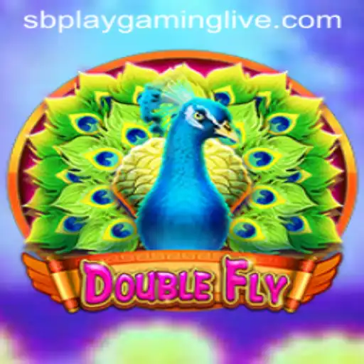 Discover the Exciting World of DoubleFly: A SB PLAY Gaming Adventure